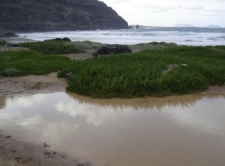 visita las marismas